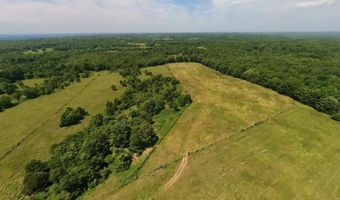 N County Road 113, Alton, MO 65606