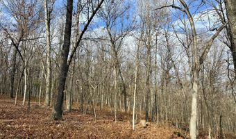 Farm Rd 1187 Lc, Ash Grove, MO 65604