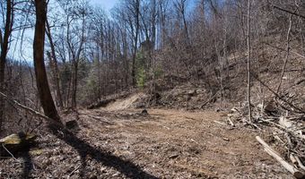 99999 Green Ridge Falls Rd 17, Barnardsville, NC 28709