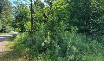 0 Mountain Springs Rd, Alum Bank, PA 15521