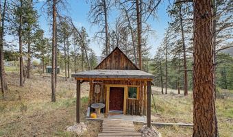 145 Bailey Dr, Bailey, CO 80421