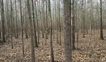 Williams Road, Bald Knob, AR 72010
