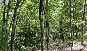 21 Collett Woods Trl Lot #21, Andrews, NC 28901