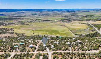 144 Pinon Hills Cir, Arboles, CO 81122