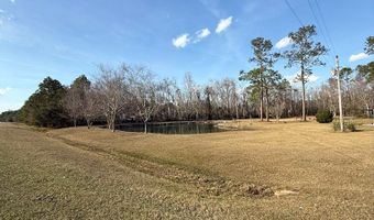 5686 Golden Isle W, Baxley, GA 31513