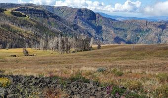 00 Cuddy Mountain Mineral Land, Cambridge, ID 83610