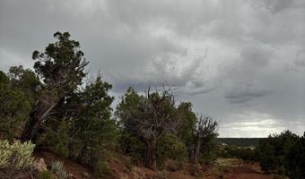 312 CR 8280, Concho, AZ 85924