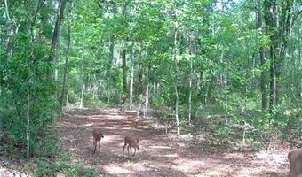 4814 NW 244 Ave, Alachua, FL 32615