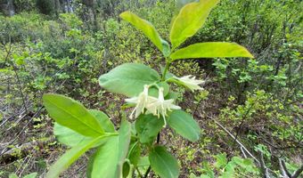 400 GROVER DRY FARM Rd, Afton, WY 83110