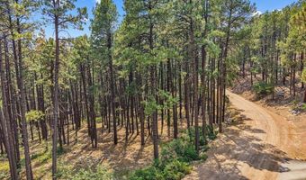 432 Blue Ridge Dr, Bayfield, CO 81122