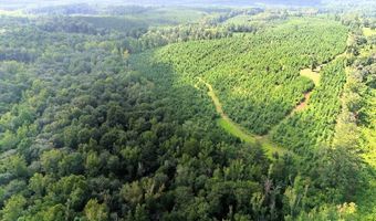 County Road 53, Banks, AL 36005