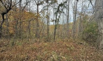 123 Crestmont-hales Rdg, Beattyville, KY 41311