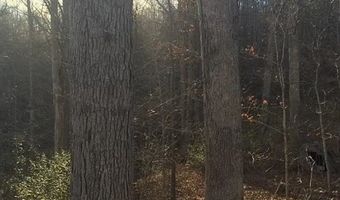 3129 Straight Frk, Alkol, WV 25501