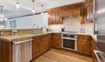 415 E Dean St Unit 10 Weeks 51 + 52, Aspen, CO 81611