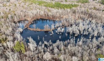 BRUSH CREEK DRIVE lot 0, Akron, AL 35441