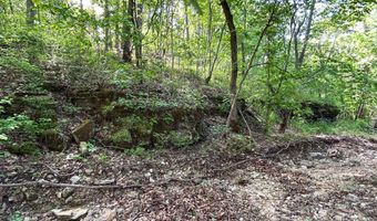 County Road 544, Bakersfield, MO 65609