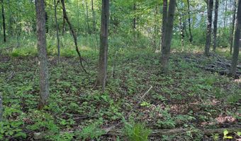 COUNTY ROAD Z lot 4, Aniwa, WI 54408