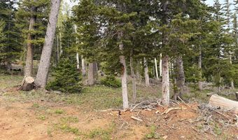 646 W Ski View Dr, Brian Head, UT 84719