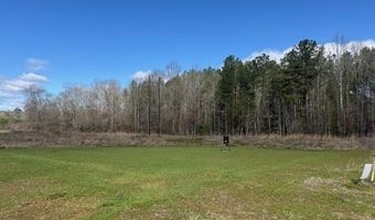 1111 Mount Olive Rd SE, Bogue Chitto, MS 39629