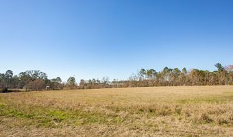 303 Dub Baxley, Baxley, GA 31513