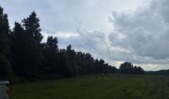 2227 Goward Rd, Alcolu, SC 29001