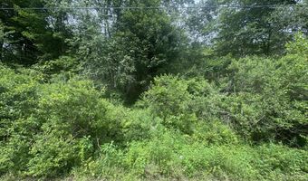 Spruce Rd 27, Blakeslee, PA 18610
