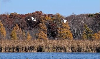 17265 Ward Lake Dr NW, Andover, MN 55304