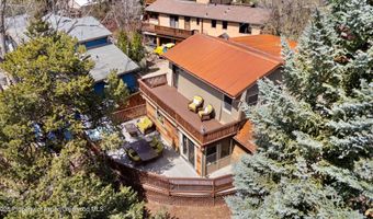 217 Longhorn Ln, Basalt, CO 81621