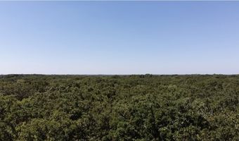 Saddle Creek Ct. lot 19, Alba, TX 75410
