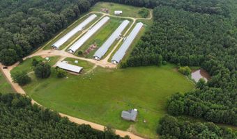 1613 N Bradley 8 Rd, Banks, AR 71631
