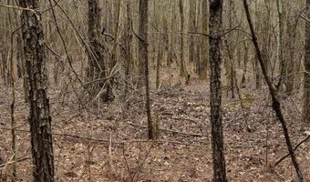 0 HWY 220, Lincolnton, GA 30817