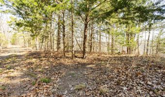 16032 Farm Road 1212, Aurora, MO 65605