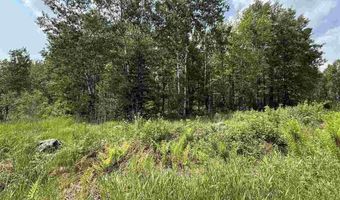 TBD Samuelson Road - Sec 15, Angora, MN 55703