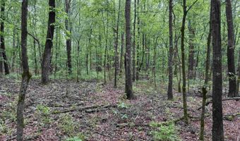 0 CR 3216, De Kalb, TX 75559