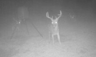 0 Hwy 14, Aliceville, AL 35442