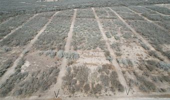 179 County Road 1461 Lot 9, Alice, TX 78332