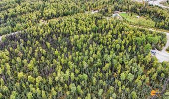 6092 S Purinton Pkwy, Big Lake, AK 99623
