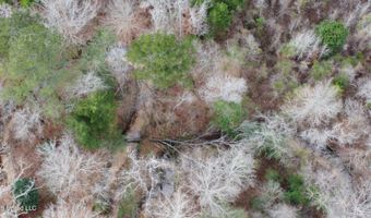 Saint John Road, Braxton, MS 39044
