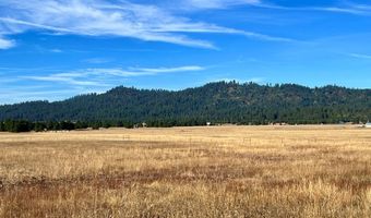 L10 Philadelphia Lane lot 10, Cascade, ID 83611