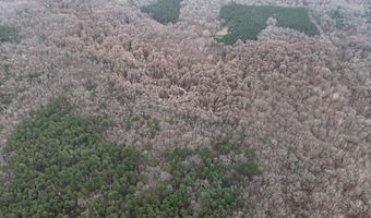 Cr 127, Abbeville, MS 38601