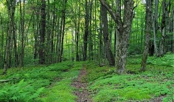 Lot # 19 Brush Hollow Road, Bovina, NY 13740