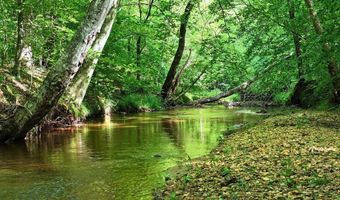 843 Wilson Mill Rd, Bassett, VA 24055
