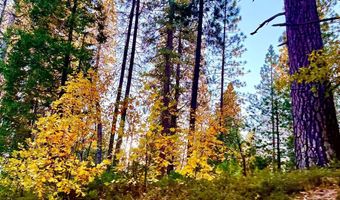 167 Linda Dr, Arnold, CA 95223