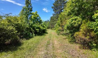 County Road 38, Autaugaville, AL 36003
