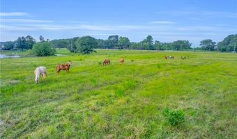 Docheno Road, Belton, SC 29627
