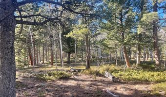 399 N Skinner Rd, Allenspark, CO 80510