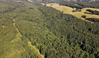 Private Drive Off Of Fr 1245, Aurora, MO 65605
