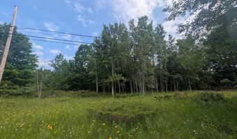 W Long Lake Road, Alpena, MI 49707