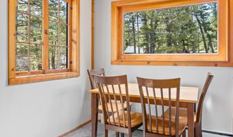 251 Haugen Slide Rd, Allenspark, CO 80510