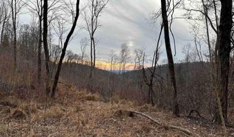 1820 Babbs Mill Rd, Afton, TN 37616
